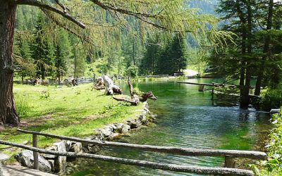 Sommer in Weißpriach